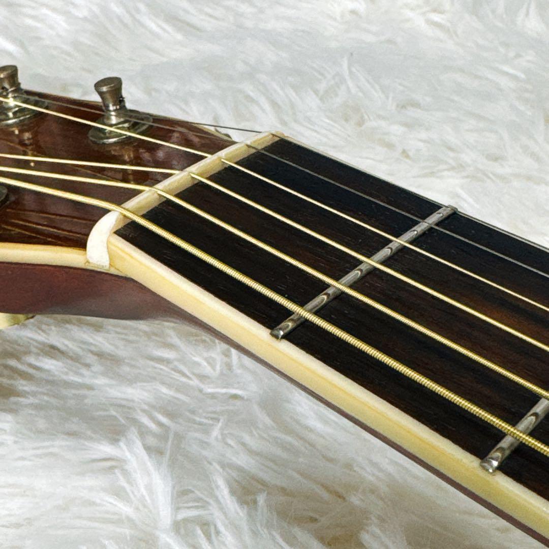 MORRIS MD-515 スプルーストップ/アンデスローズ 1980年代