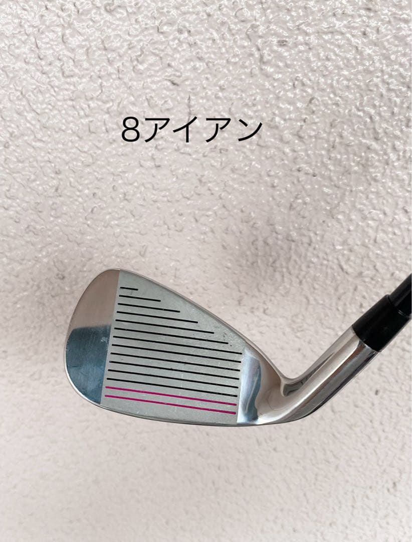 WORLD EAGLE ゴルフクラブセット 10本キャディバックレディース