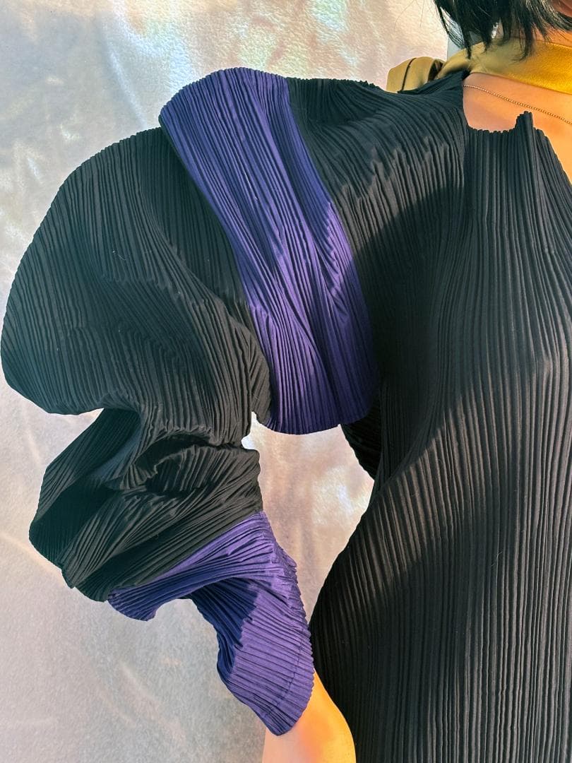 [超希少] ISSEY MIYAKE 平面 二次元 変形 ボーダー入りプリーツ