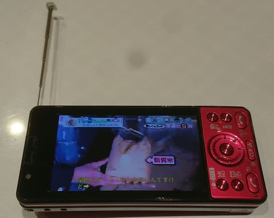 充電器セットレア 美品 キュート カワイイ ドコモ P-05C ピンク ワンセグ