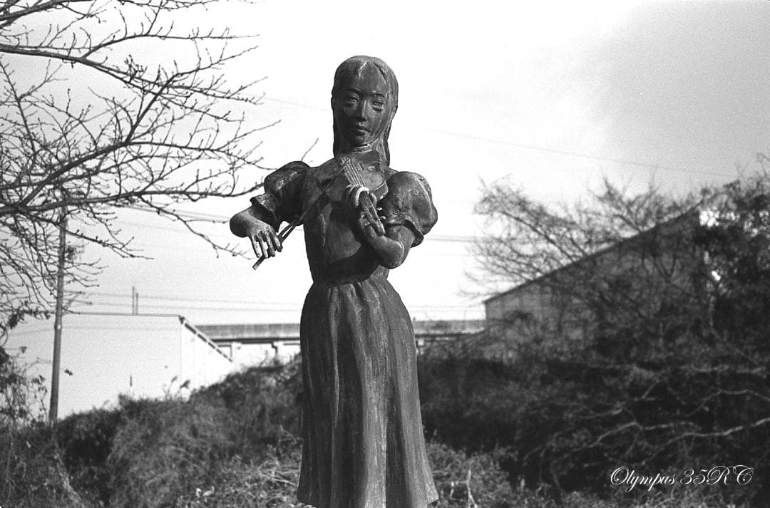 【整備済完動美品・露出計OK】OLYMPUS 35 RC ＋MR-9アダプター