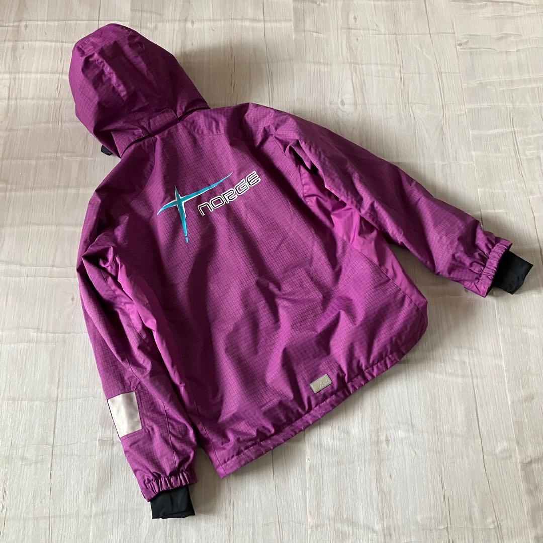 2E✨phenixフェニックス ✨スキーウェア 上下セット メンズM 170cm