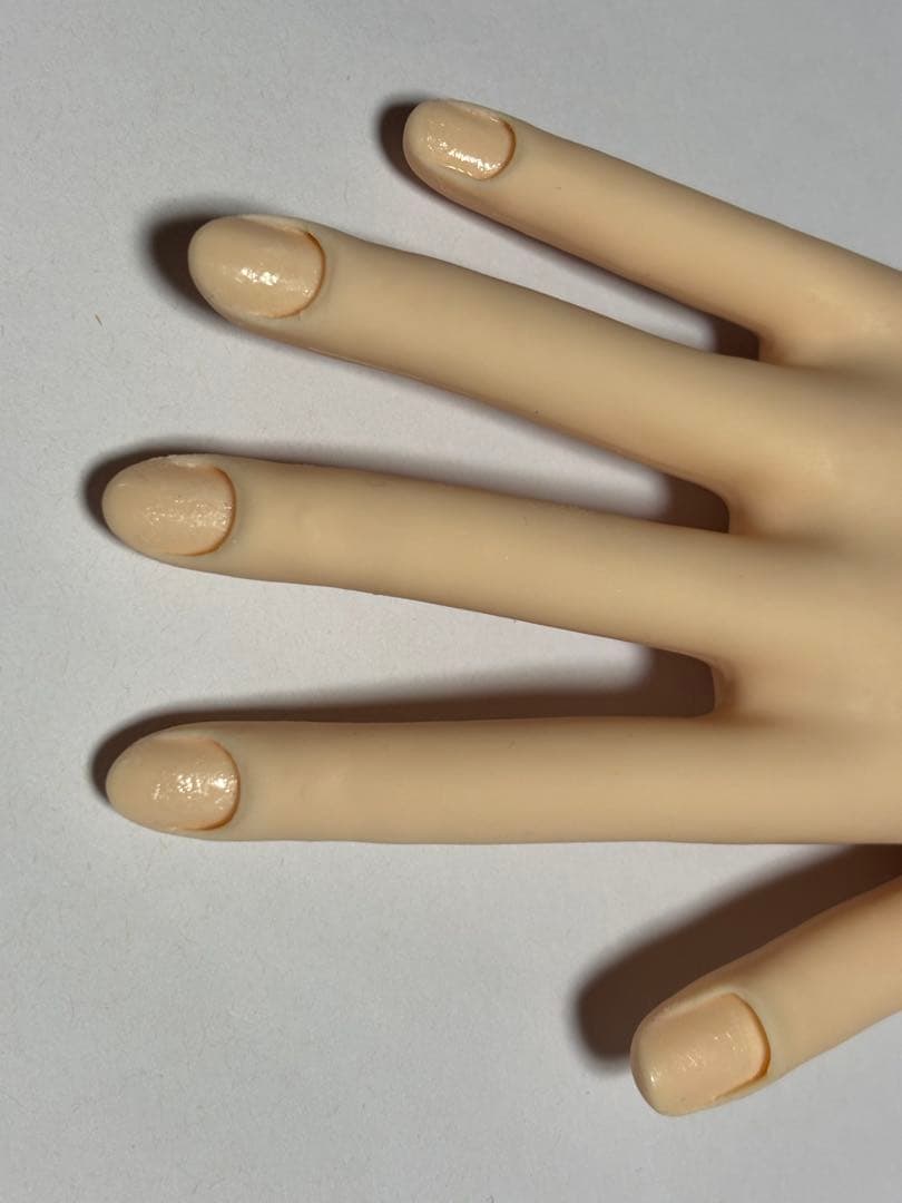 JNCEネイリスト検定認定モデルハンド（本番用）