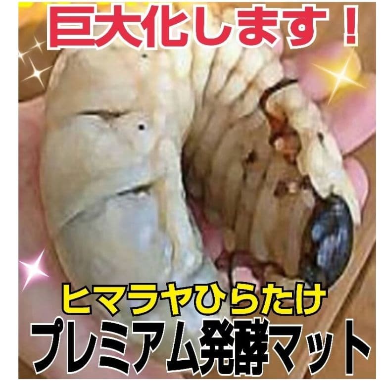 極上！プレミアム3次発酵ヘラクレスマット【80L】特殊アミノ酸強化配合！巨大化！