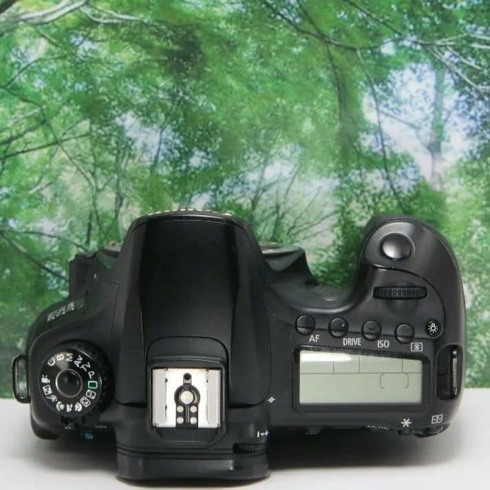 ❤動画も自撮り出来るCanon EOS 60D☆スマホ転送OK♪付属品多数❤