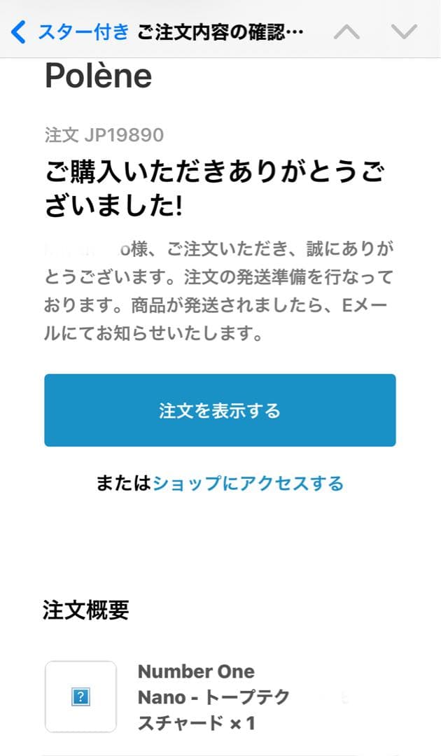 【正規品】POLENE Numéro Un Nano トープ　箱、保存袋付き