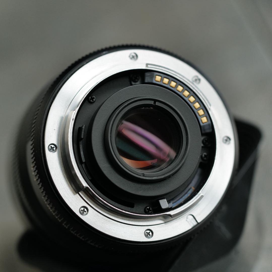 レンズ(単焦点) Leica ELMARIT-R 24mm F2.8 ROM