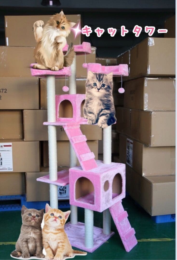 キャットタワー 猫ワイド170cm ファニチャー 置き型 希少 パッションピンク