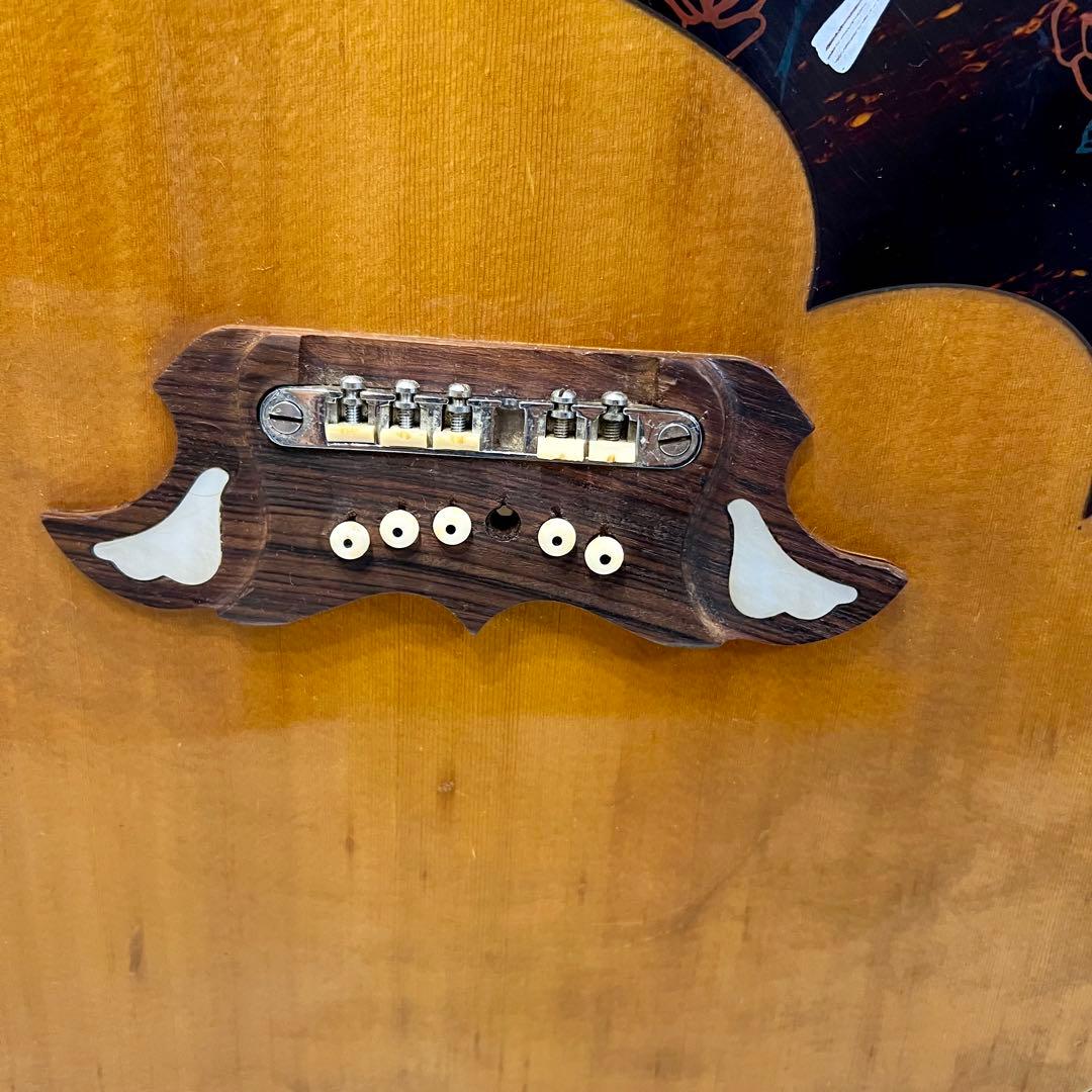 TOMSON TGF-351 ギター すがの ヴィンテージ ハミングバード