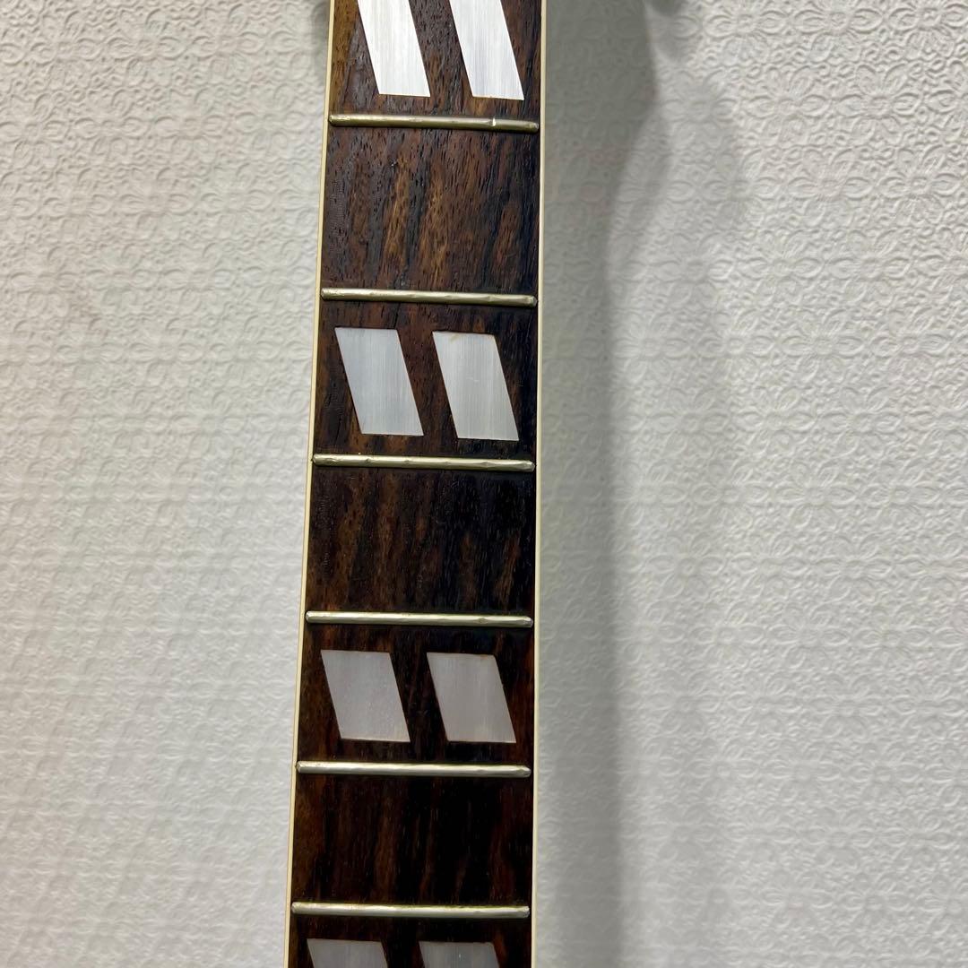 TOMSON TGF-351 ギター すがの ヴィンテージ ハミングバード