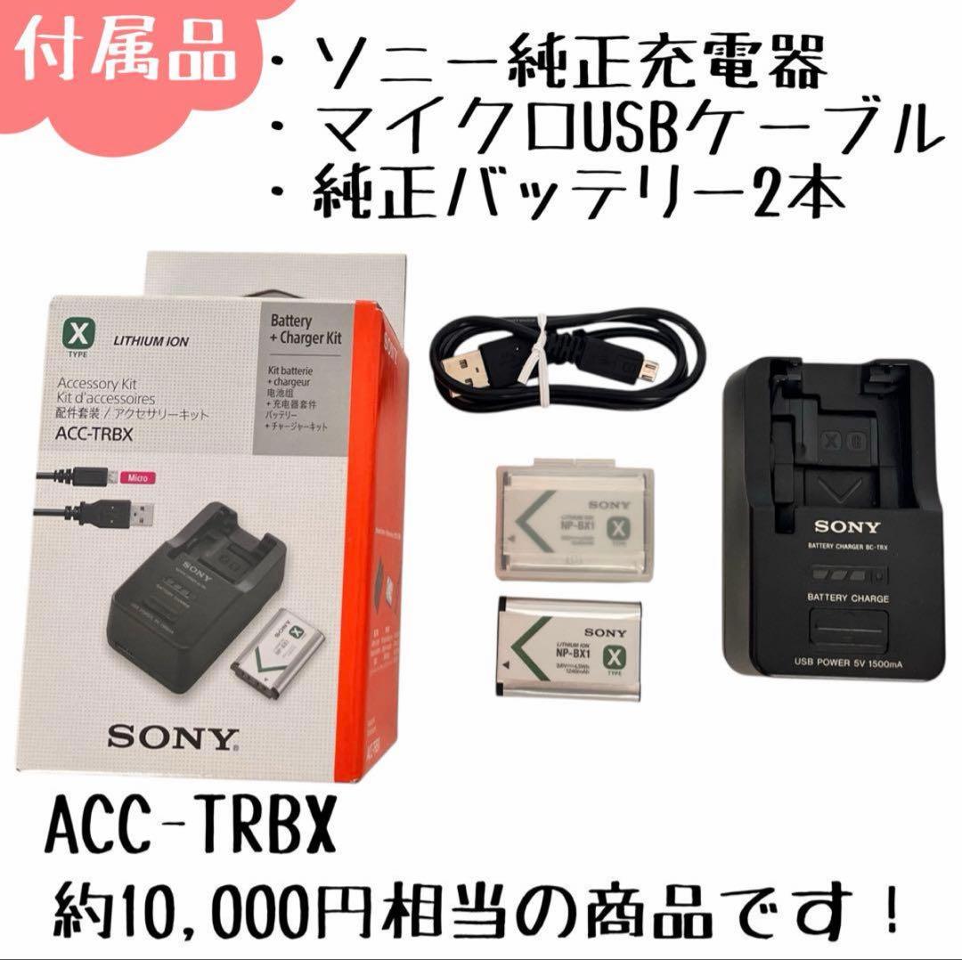 SONYサイバーショットDSC-RX100M5 純正充電器バッテリー