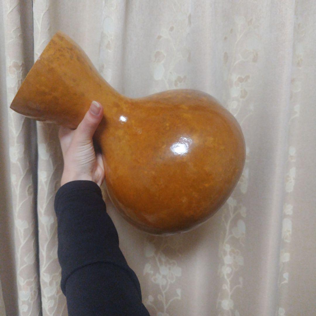 フラダンス、イプ（ケースつき）&ココナッツ