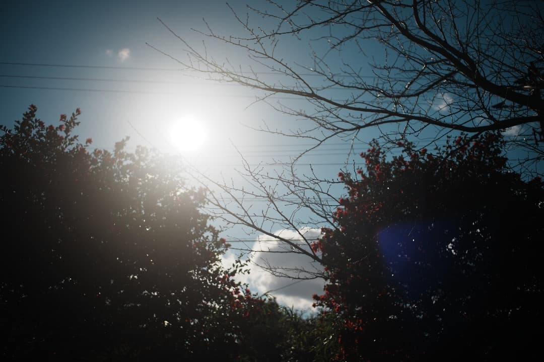 【整備＆テスト済】Nikon SERIES E 35mm F2.5 198