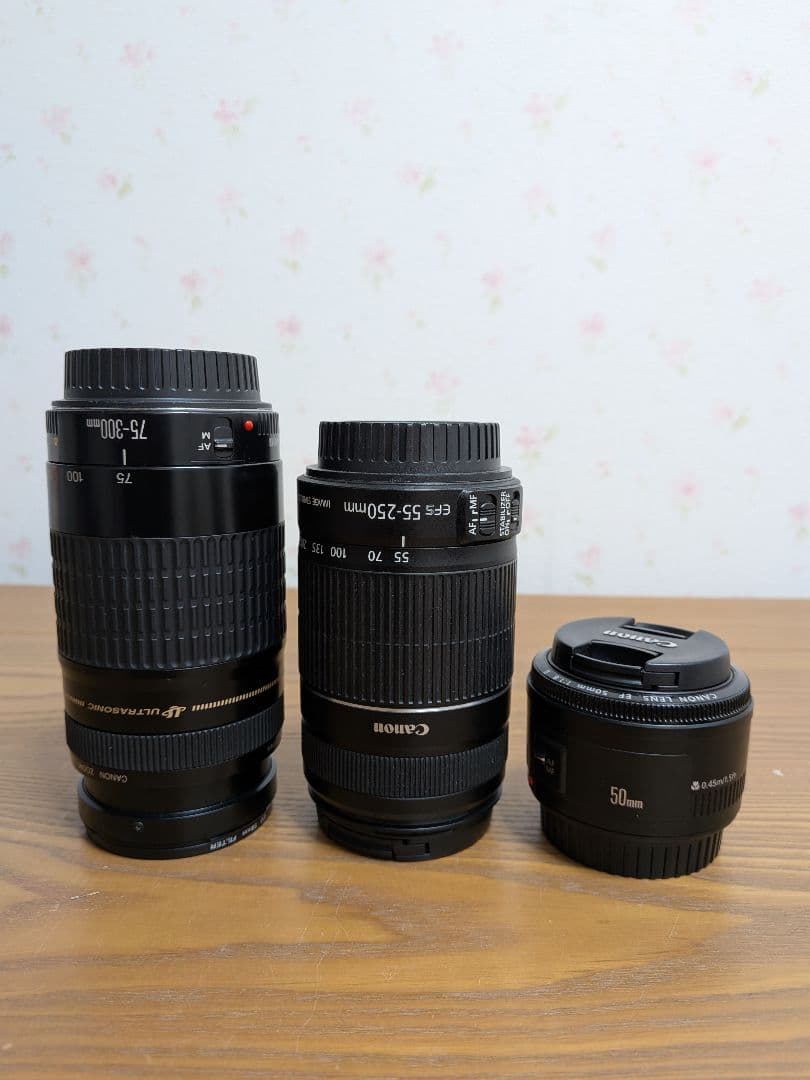 Canon EOS デジタル一眼レフカメラセット