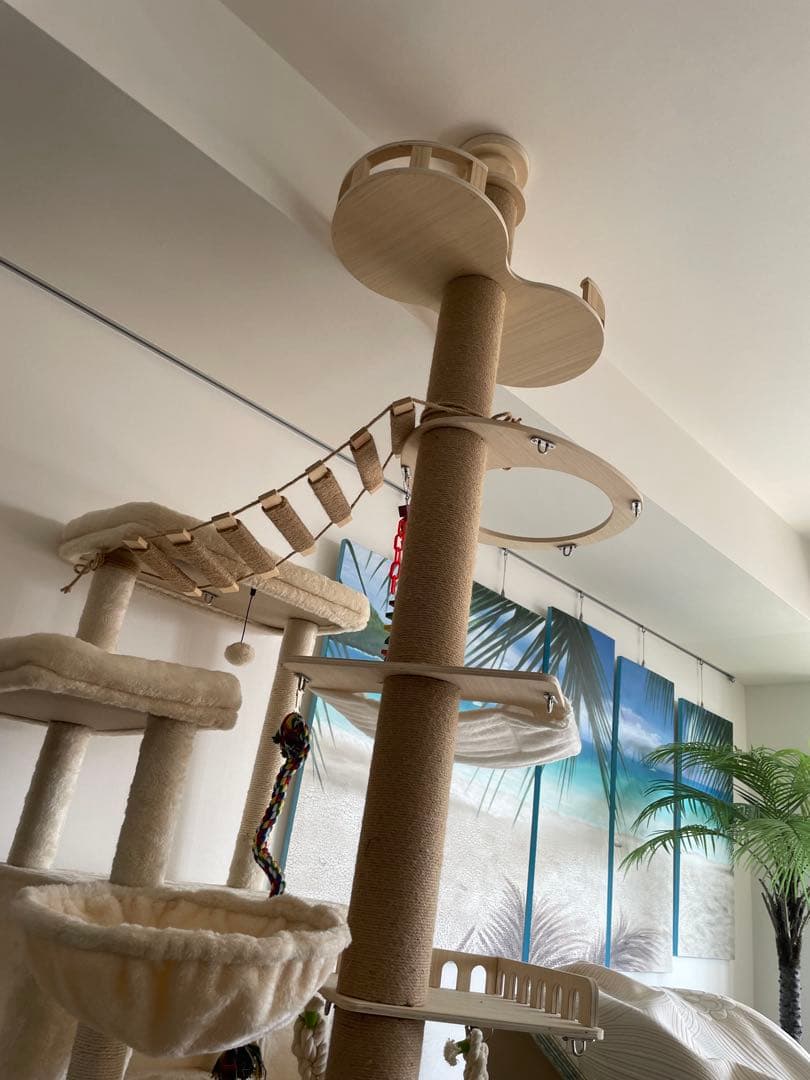 mooバードツリー バードジム バードアスレチック キャットタワー