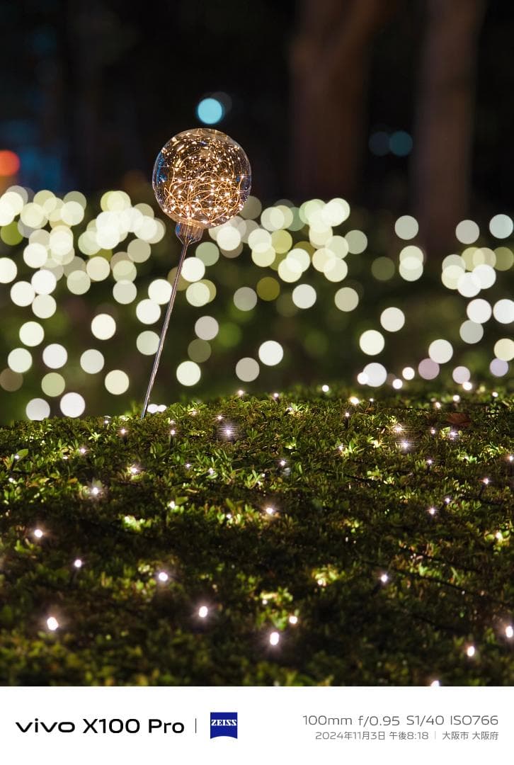 vivo X100 Pro 16GB/512GB グローバル版