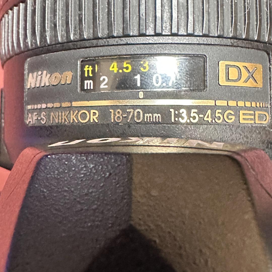 ニコン D70 デジタル一眼レフカメラ 18-70mmレンズ、CF32GB付き