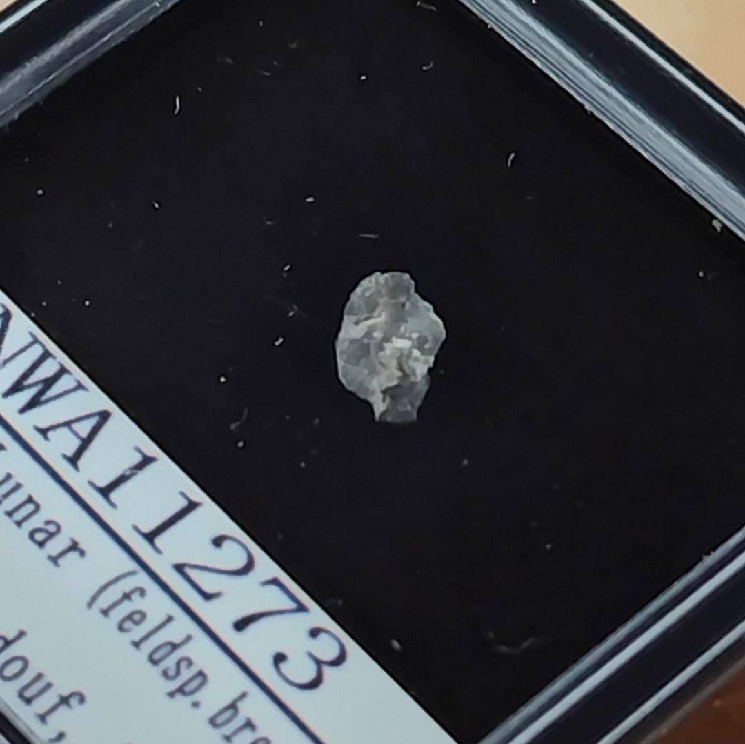 ✨スペシャルレア!　＊月の石＊　月から来たＮＷＡ11273隕石