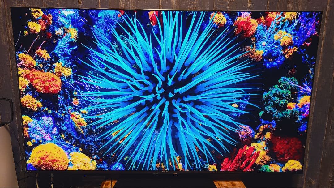 SHARP AQUOS XLED 4T-C65DP1 液晶テレビ シャープ 4K