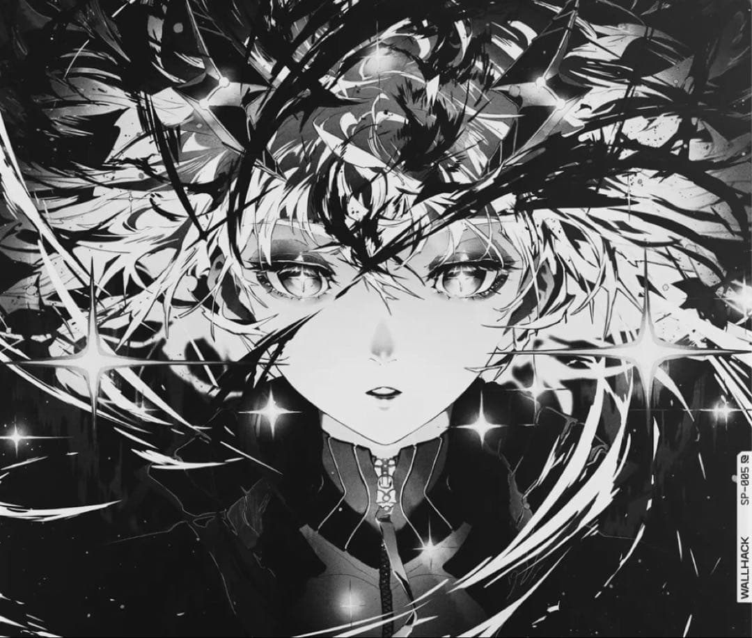 WALLHACK Awakening Sora SP-005 限定版