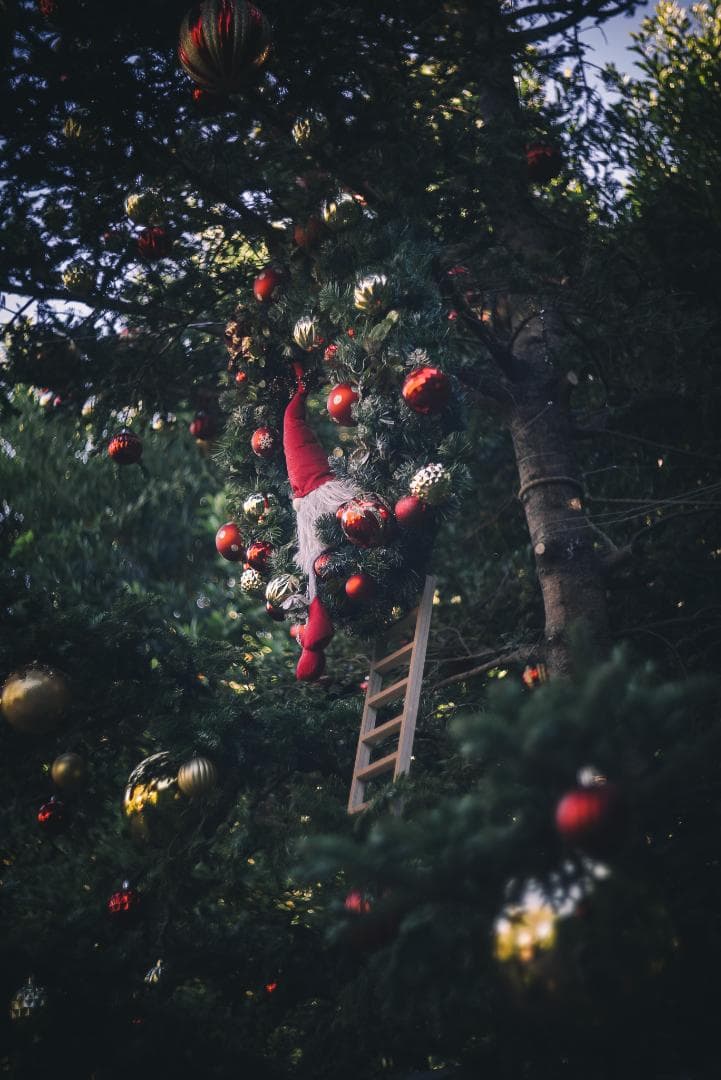 山崎ズマール！Leica Bluecoted Summar 50mm F2