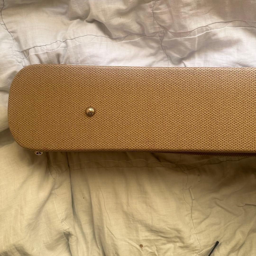 Cole Clarkアコースティックギター ハードケース付き