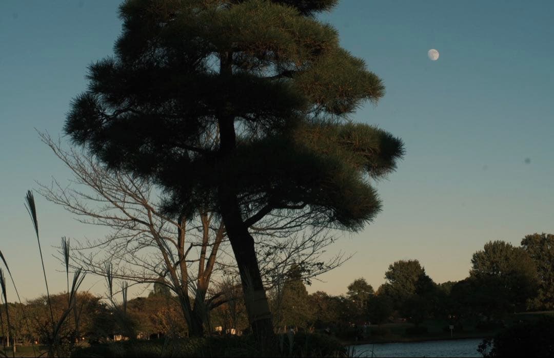 FUJIFILM X-M5レンズキットXC 15-45mm レンズ他付属品色々有