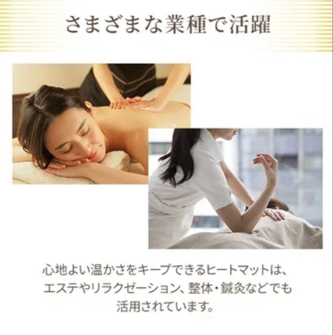 【新品☆】タイマー機能付き ヒートマット2 レギュラー (有孔) ベッド用