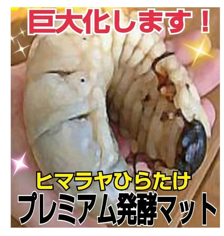 大量飼育に！たっぷり90リットル(9袋)　極上！プレミアム発酵ヘラクレスマット