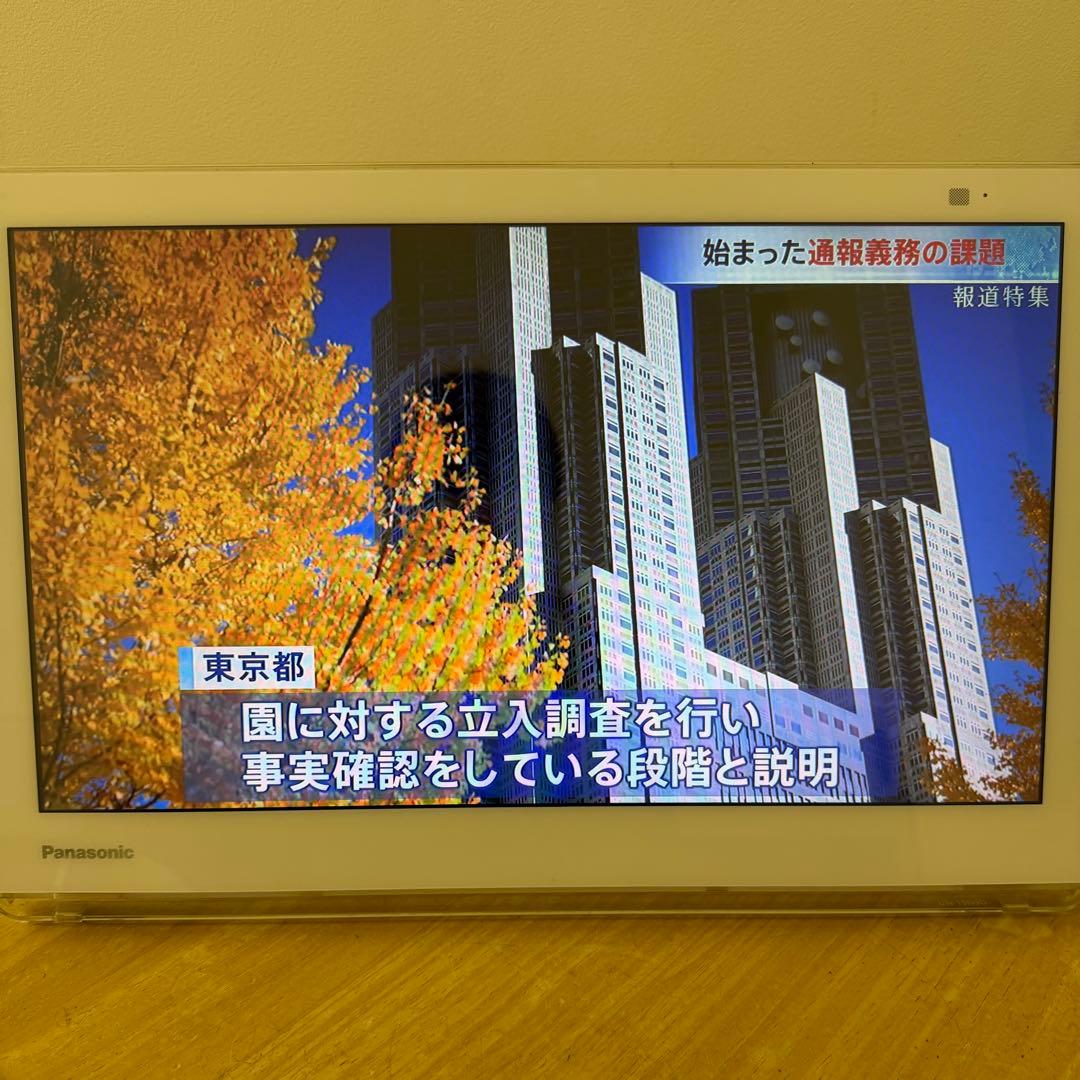 Panasonic プライベートビエラ UN-15N9D 15インチ