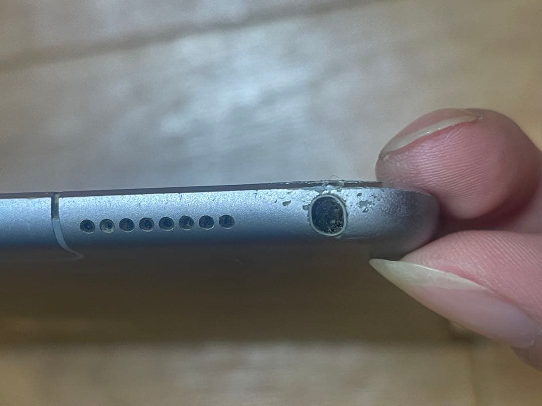 Apple iPad Pro 10.5インチ256GB