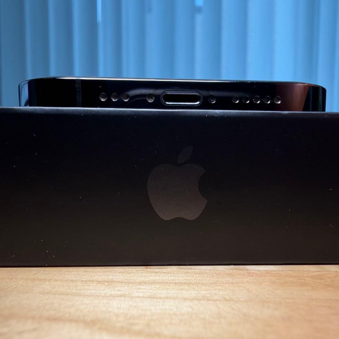 Apple iPhone 13 Pro 256GB グラファイト 備品付属