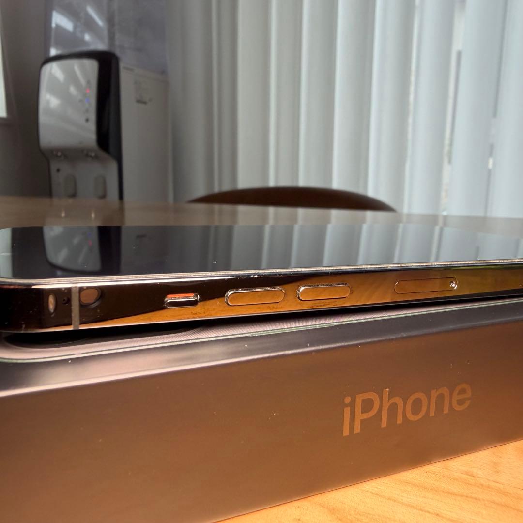 Apple iPhone 13 Pro 256GB グラファイト 備品付属