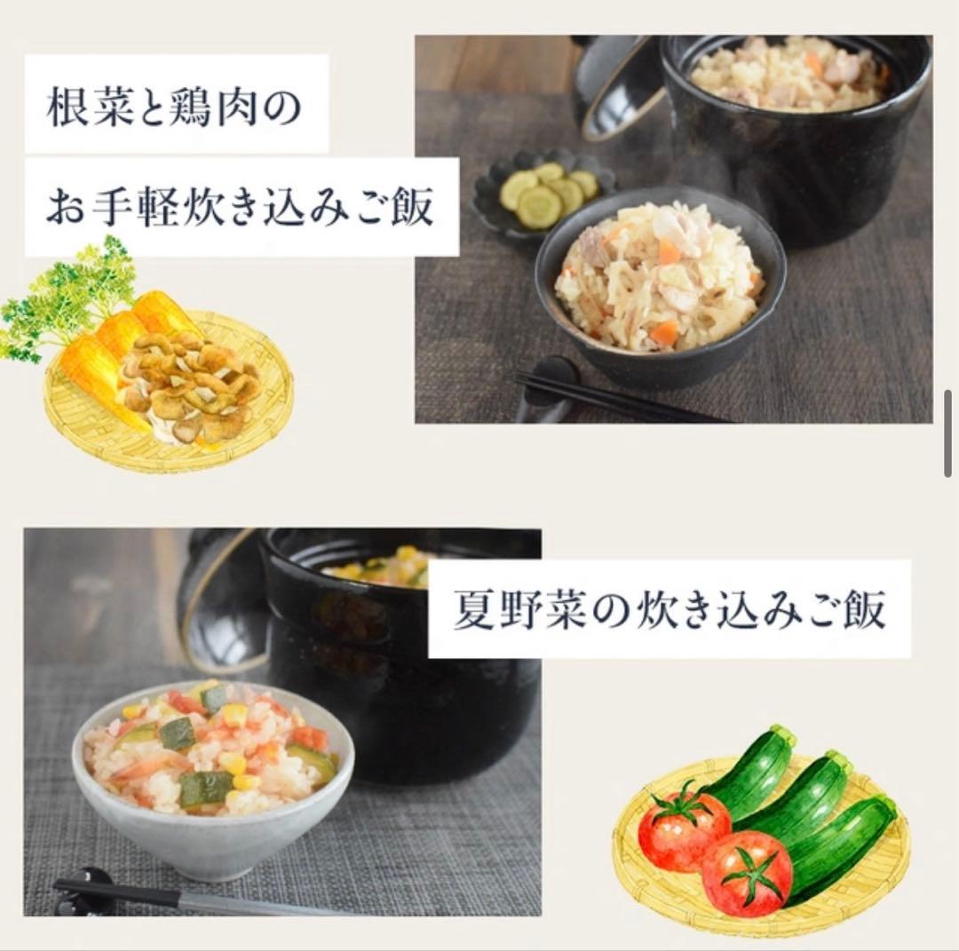 1人用 レンジで簡単 直火を超えた旨み溶け出す本格ごはん 伊賀焼レンジ土鍋