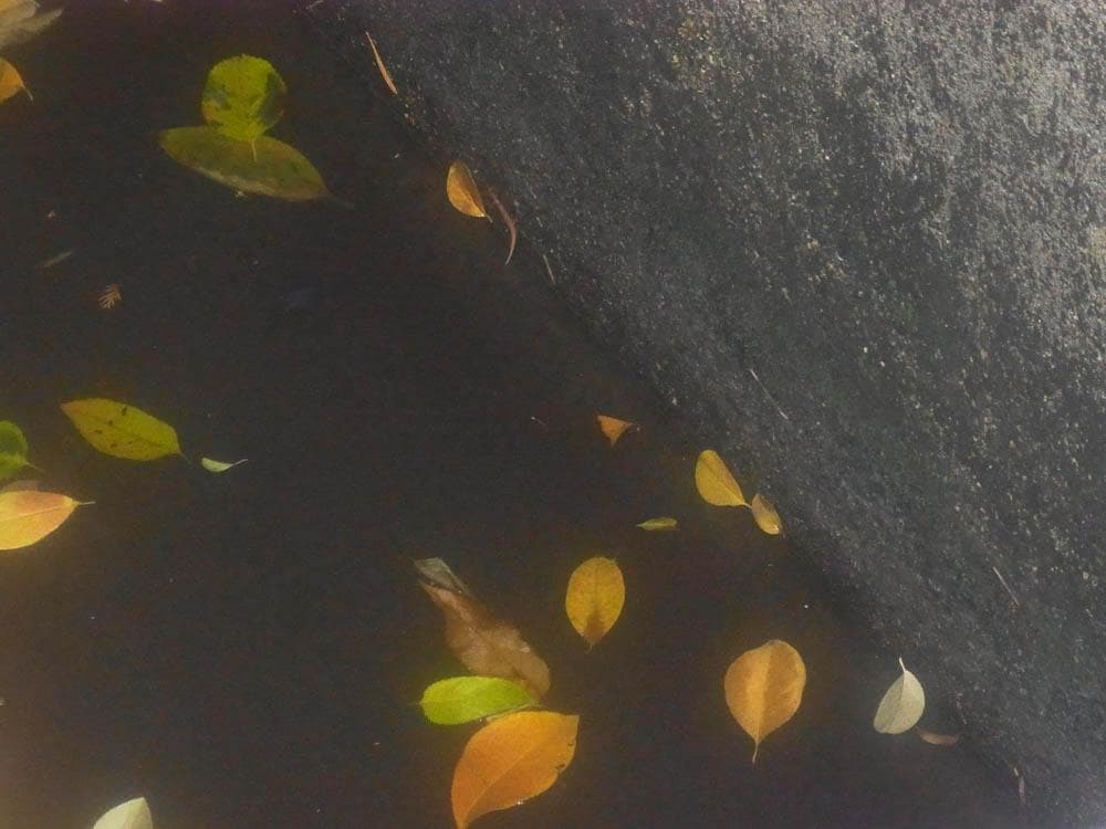 【憧れのコンデジっぽさを味わえる】RICOH CX3 ピンク