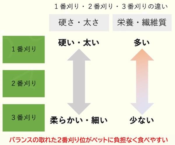【3/16まで】 カナダ産 チモシー 50kg スーパープレミアム １番刈り