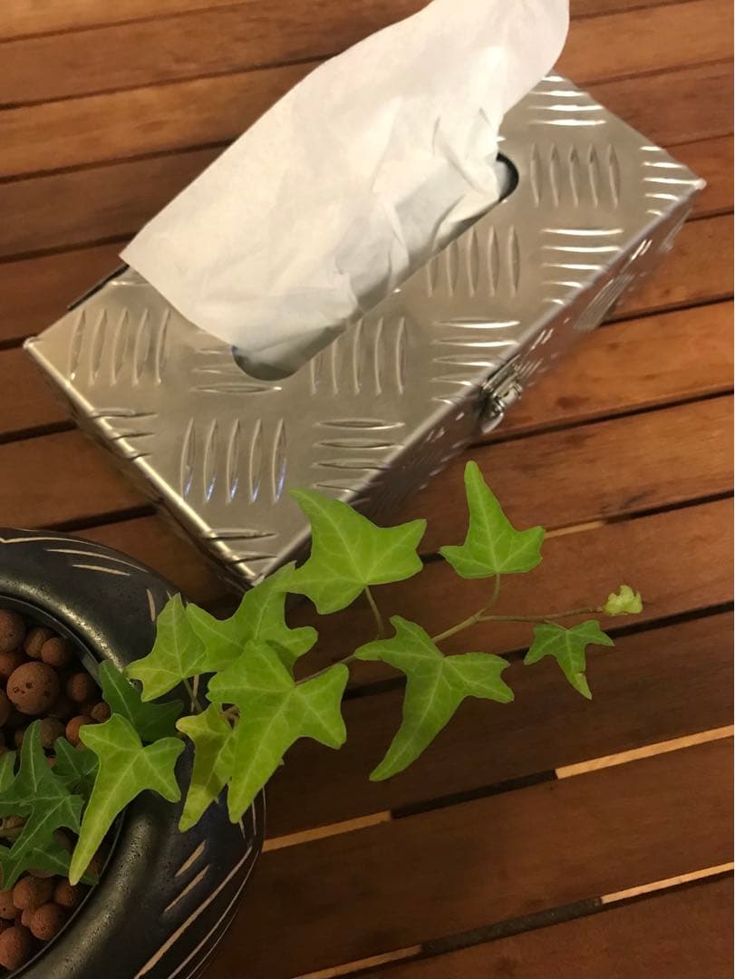 縞板ティッシュボックス