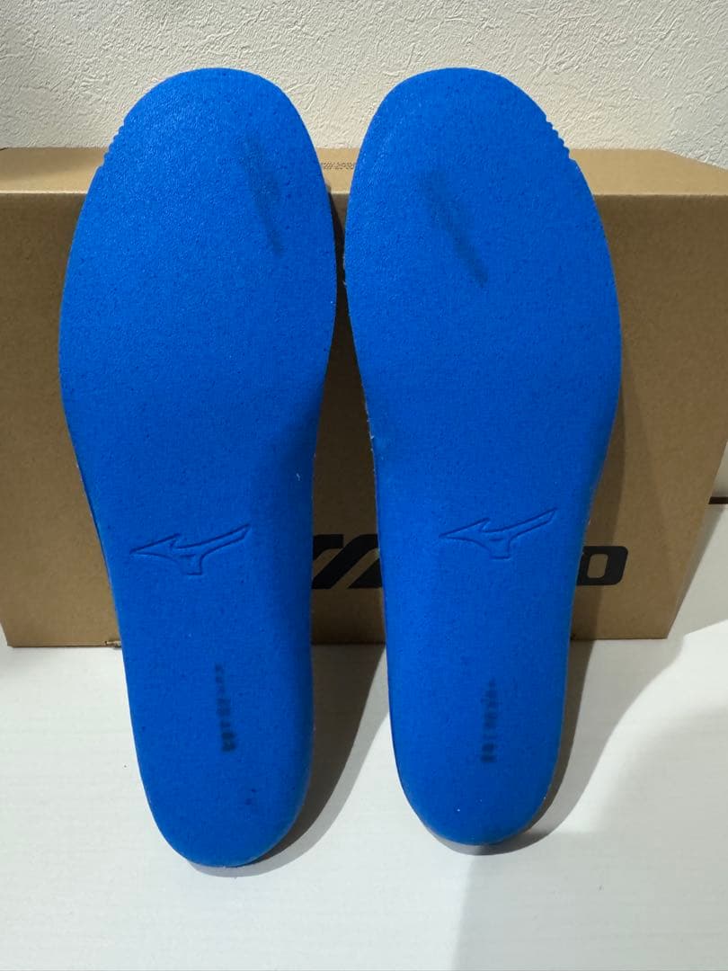 ミズノ Wave Prophecy Moc ゴアテックス ブラック オフホワイト