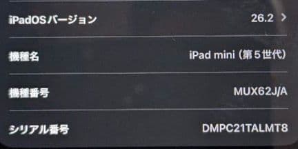 iPad Mini 第5世代 Wi-Fi Cellular 64GB