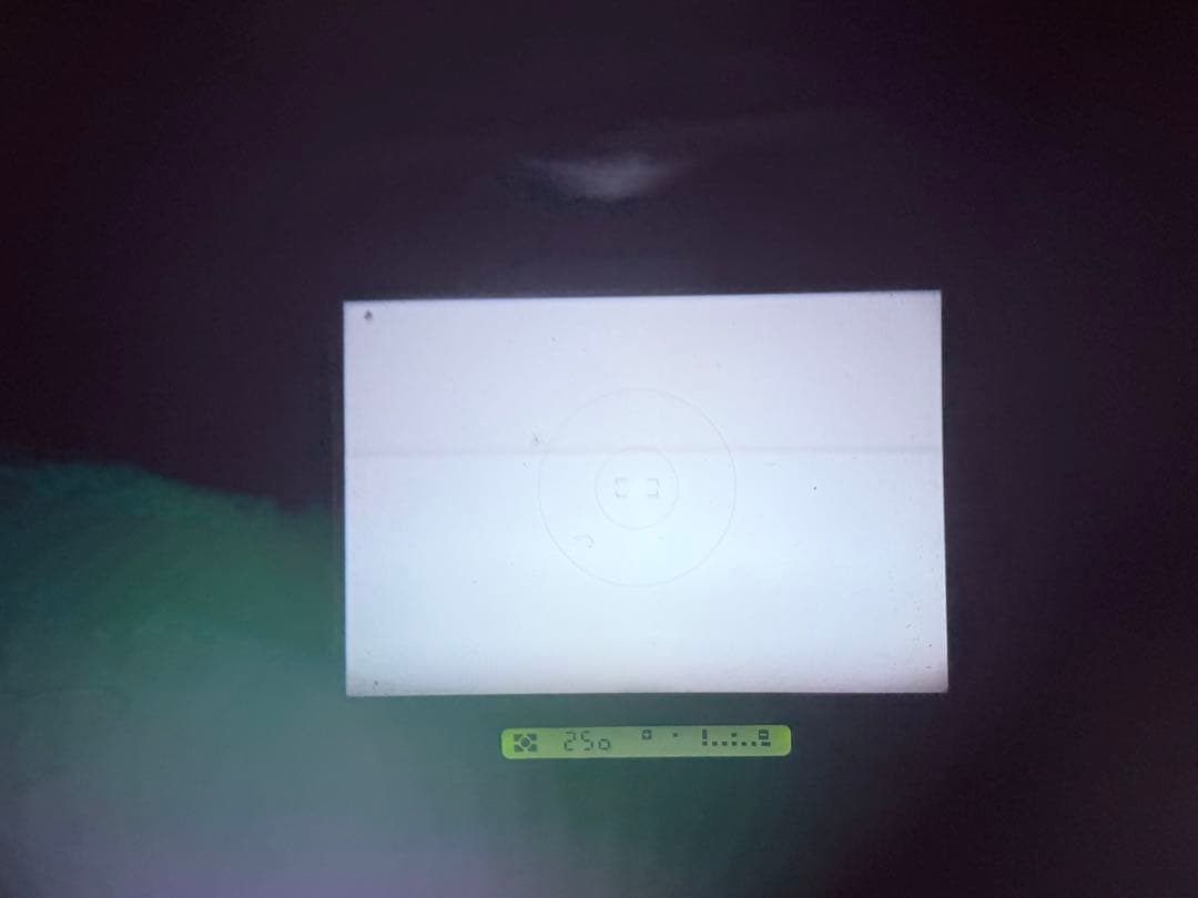 Nikon F4 ボディ 動作確認済 CF-41B付