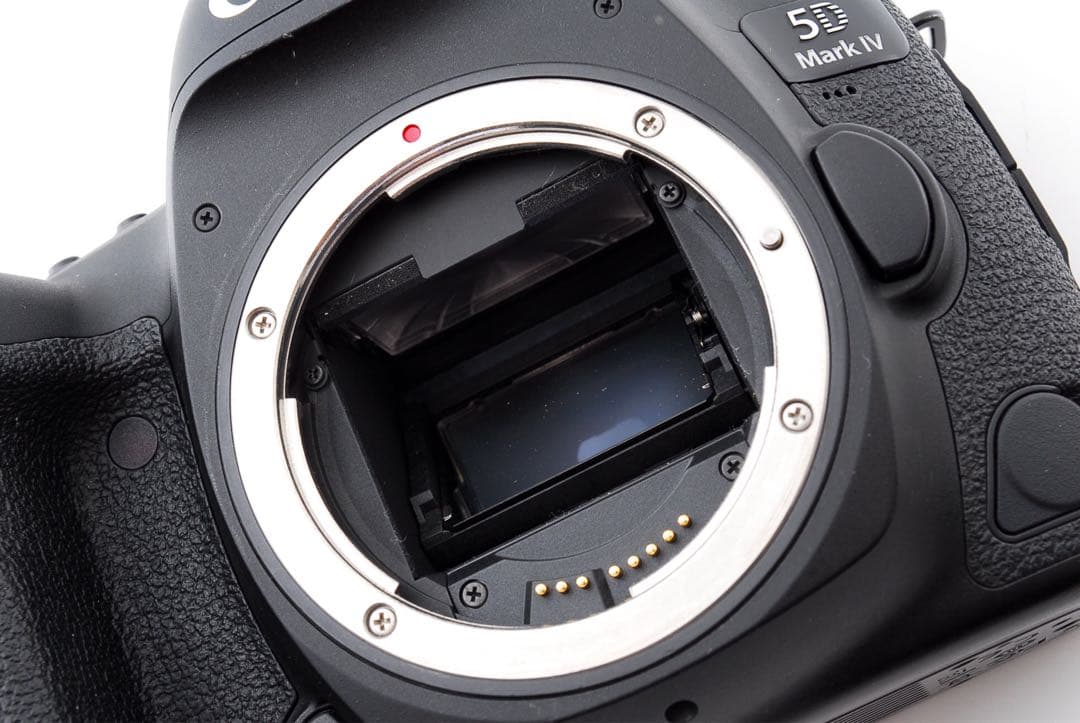 動作品☆キヤノン Canon EOS 5D Mark IV ボディー