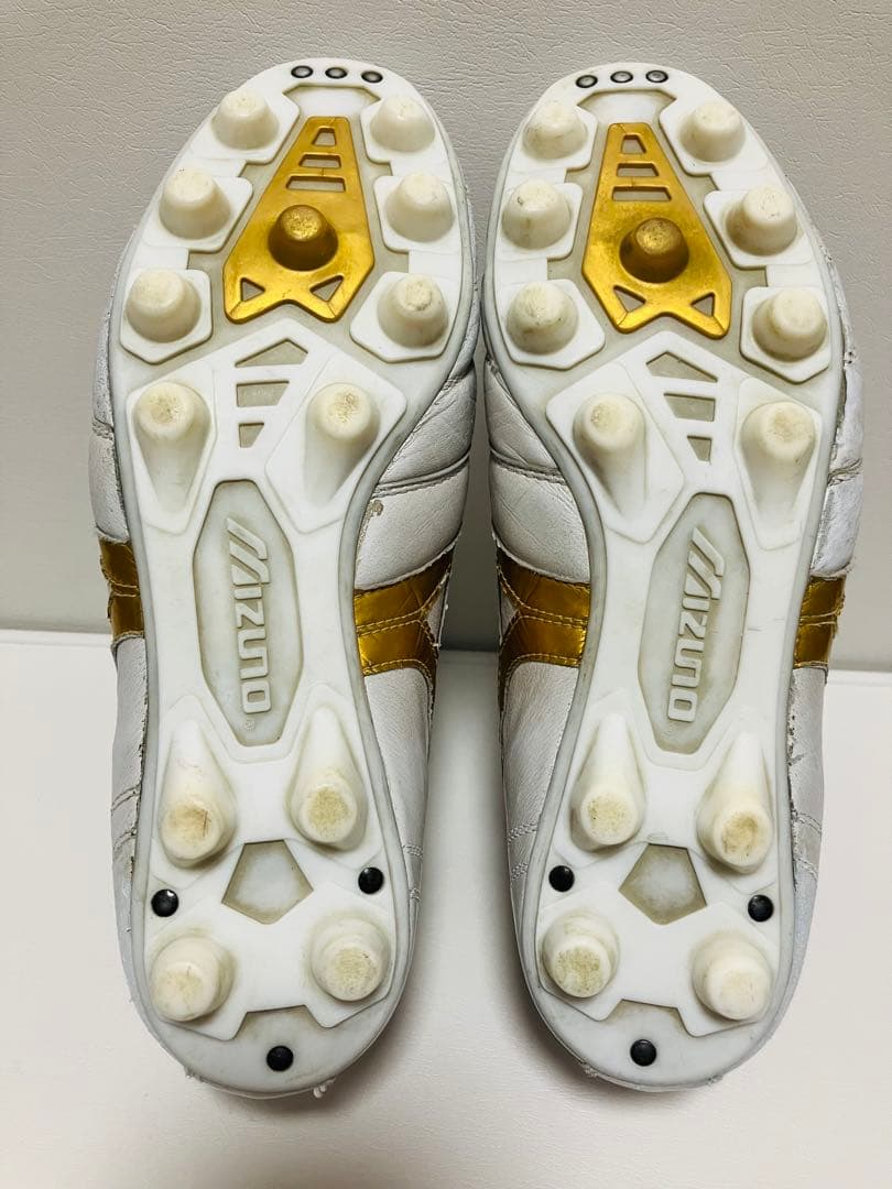 【大幅値下げ】モレリアⅡ 26cm 希少カラー