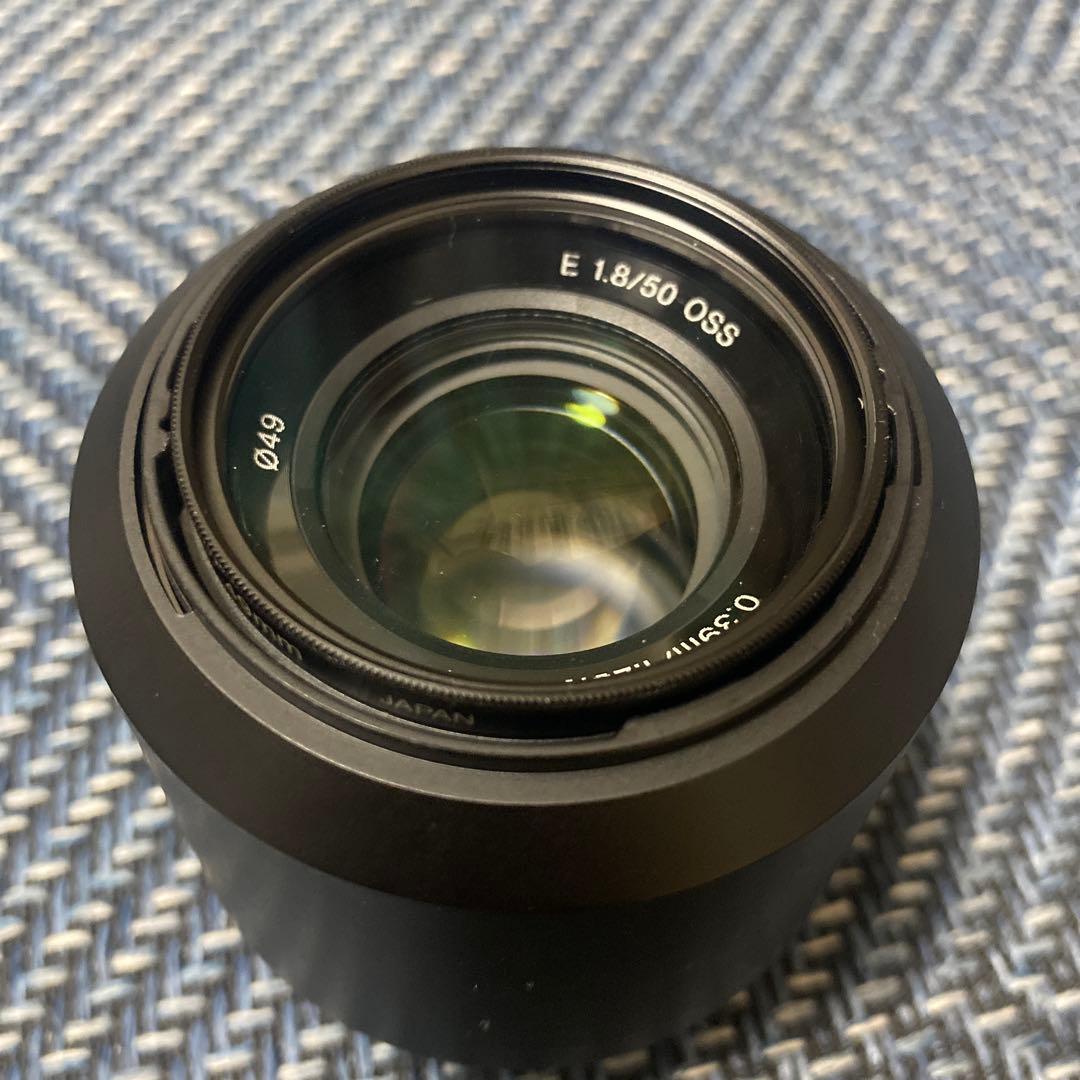 SONY sel50f18 50mm f1.8 単焦点レンズ 作例アリ