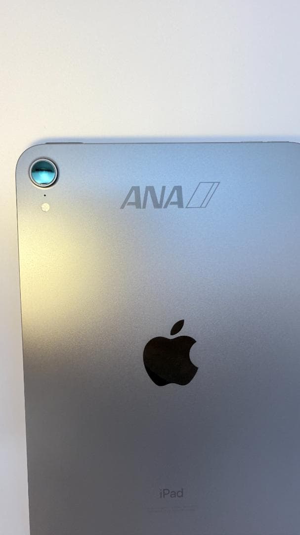 【ANAロゴ刻印】iPad mini Wi-Fiモデル 64GB スペースグレイ