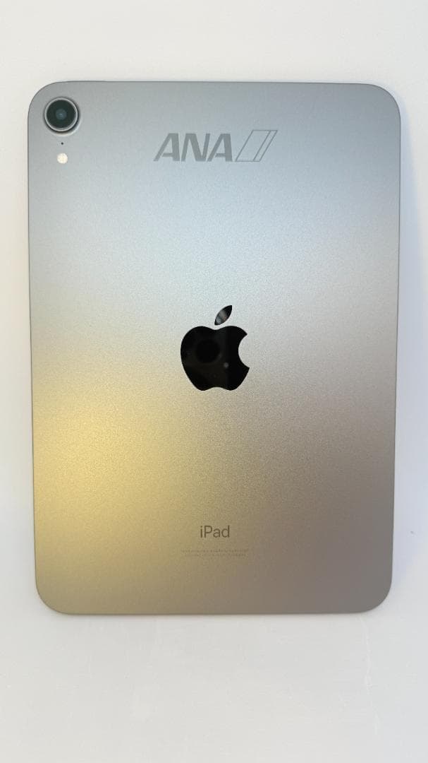 【ANAロゴ刻印】iPad mini Wi-Fiモデル 64GB スペースグレイ