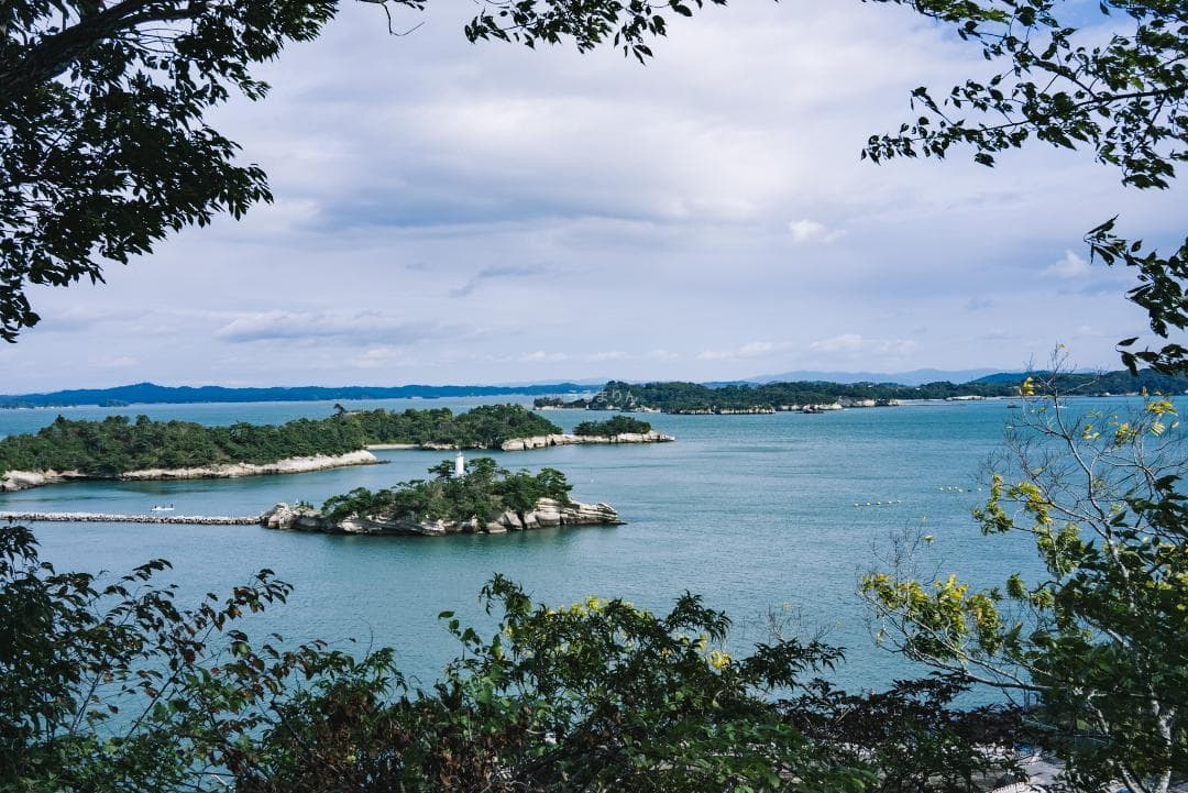 OH済！広角の鉄板 Leica Summaron 35mm オールドレンズ