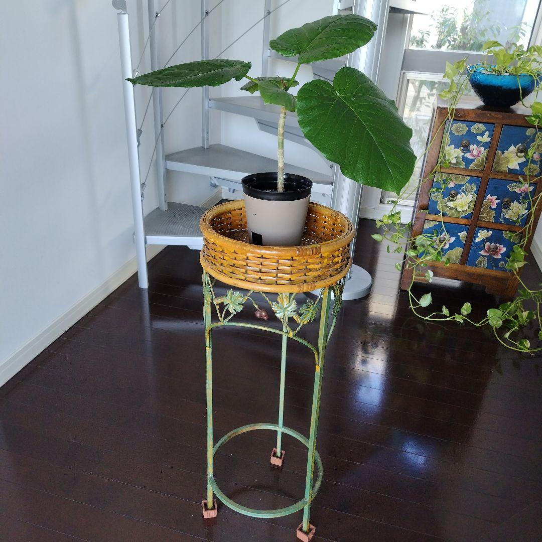 アンティーク ラタンとアイアンのフラワースタンド