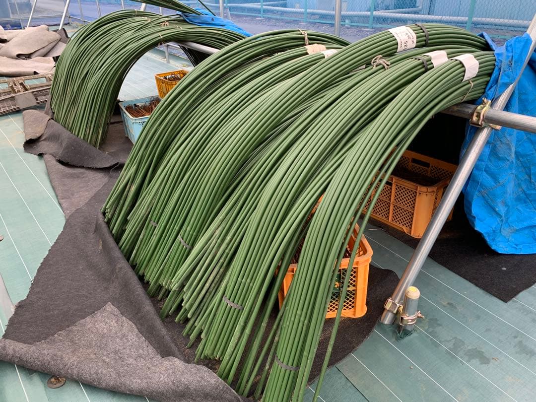 トンネル支柱 13x2700 2型 1000本　幅180cm 高さ85cm