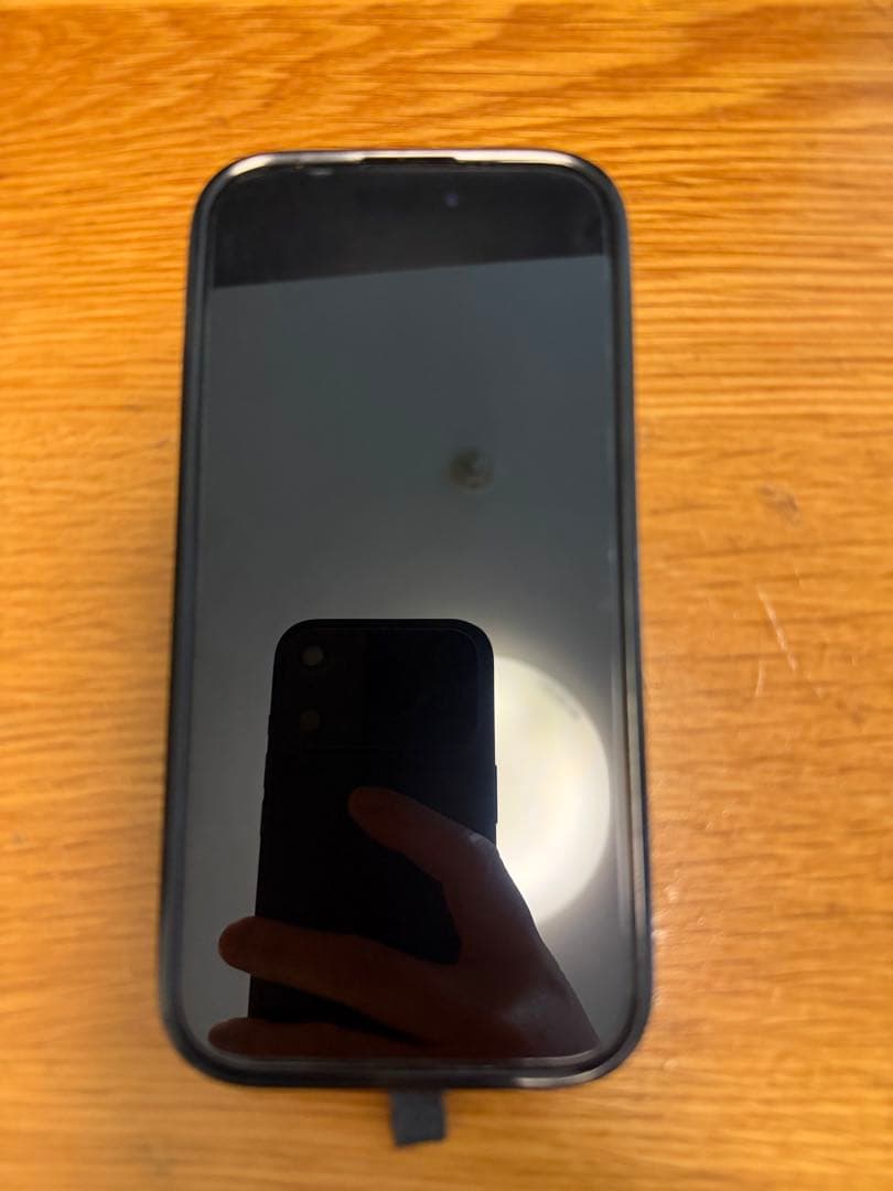 Apple iPhone 15 Pro 512GB casetifyケース付き