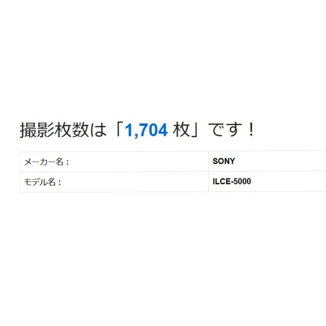 ❤即購入1000円OFF❤ ソニー α5000 Wi-Fi 手のひらミラーレス